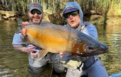 Georgia’s streams never disappoint! 